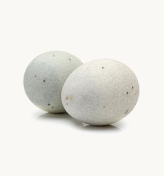 Duck Egg